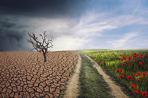 New Age - Science - landscape New Age - Science - landscape