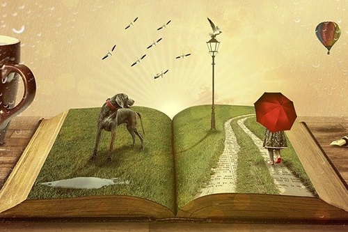 literature - book