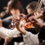 symphony orchestra