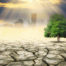 parched earth with hazy atmosphere
