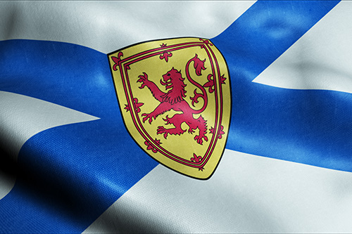 Scottish Flag White and Blue Scottish Flag