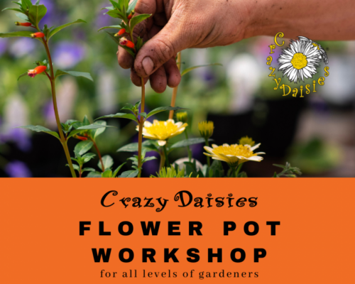 Advertisement for Flower Pot Workshop