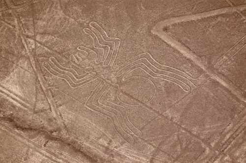 Spider Nazca Lines