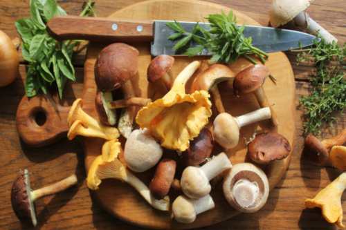 Mix of forest mushrooms on cutting board over old wooden table Variety of mushrooms on a cutting board.