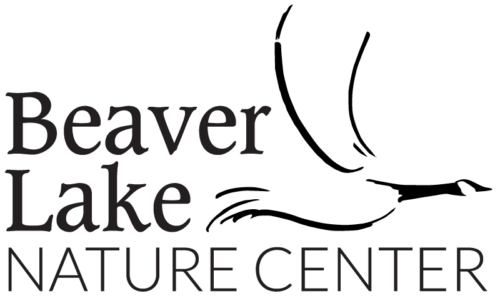 Beaver Lake logo