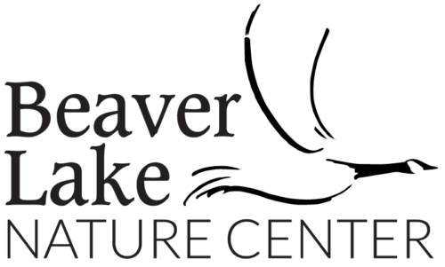 Beaver Lake logo Beaver Lake logo