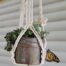 Butterfly on a homemade macrame plant hanger