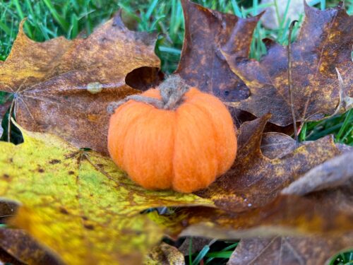 Sample of the needle felted pumpkin we'll be making