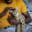 Relaxed man sitting on the sofa at home while gently petting his cat