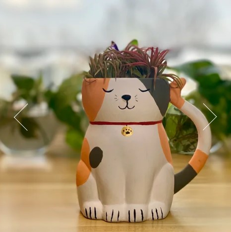 Sample of the kitty plater we'll be making in class.