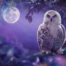 The white owl in the night