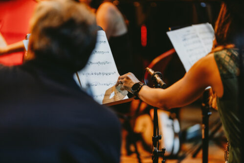 Orchestra Musicians Orchestra musicians